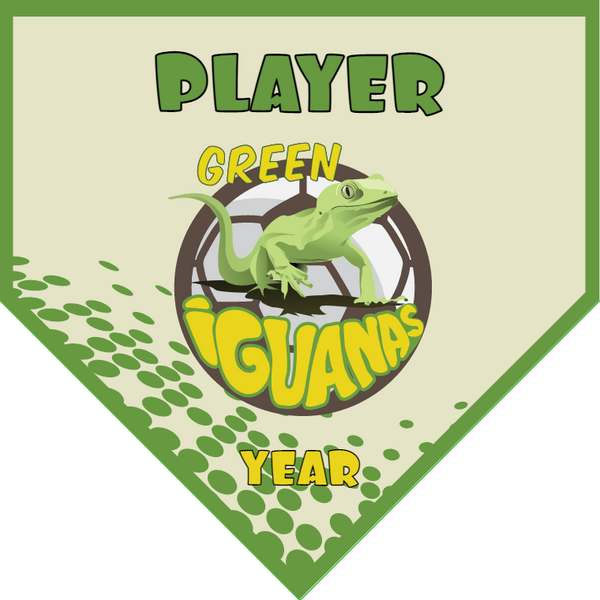 Green Iguanas - Homeplate Soccer Pennant
