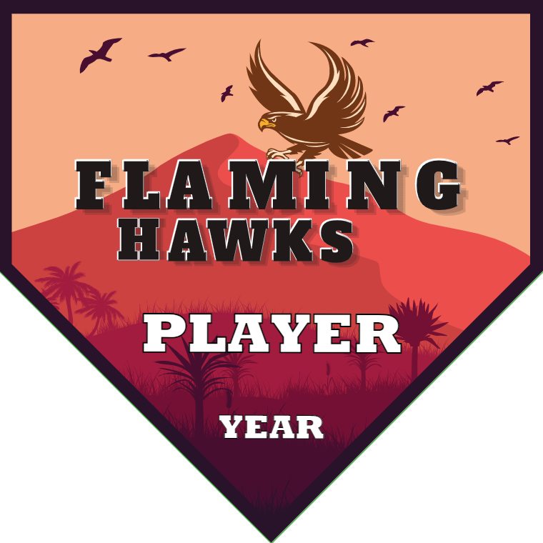 Flaming Hawks - Homeplate Soccer Pennant