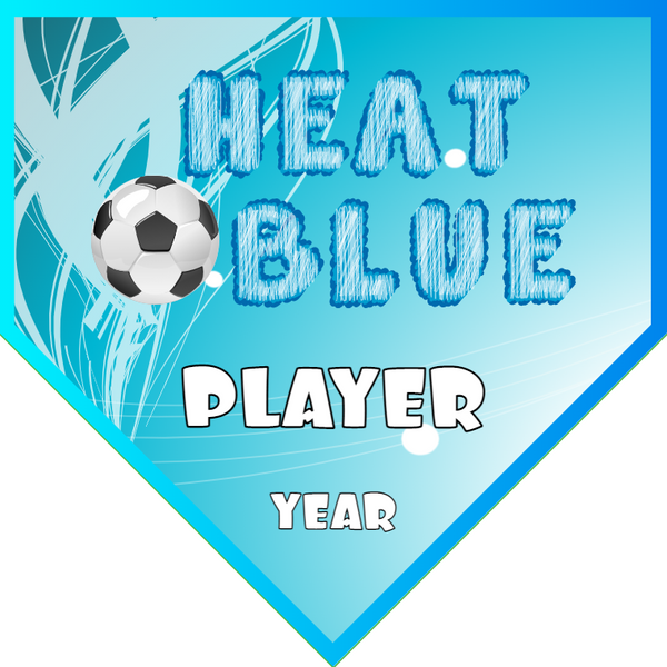 Heat Blue - Homeplate Soccer Pennant