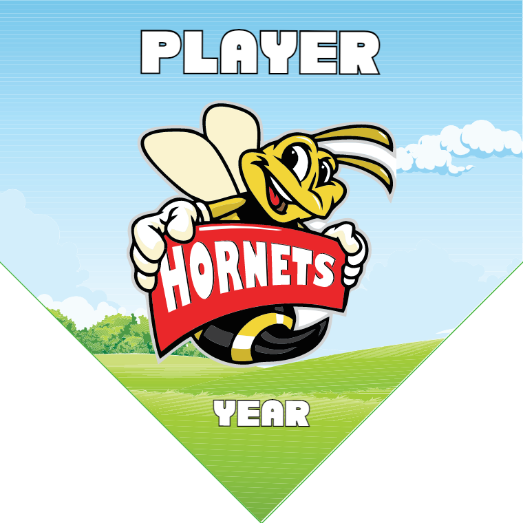 Hornets - Homeplate Soccer Pennant