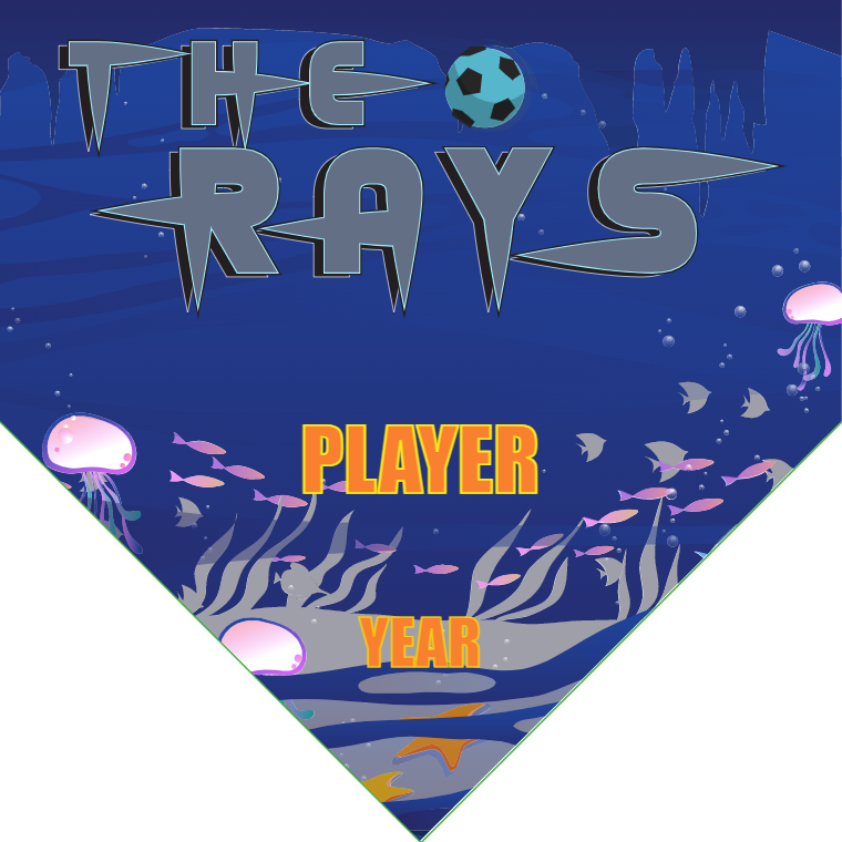 The Rays - Homeplate Soccer Pennant