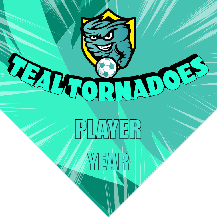 Tealtornadoes - Homeplate Soccer Pennant