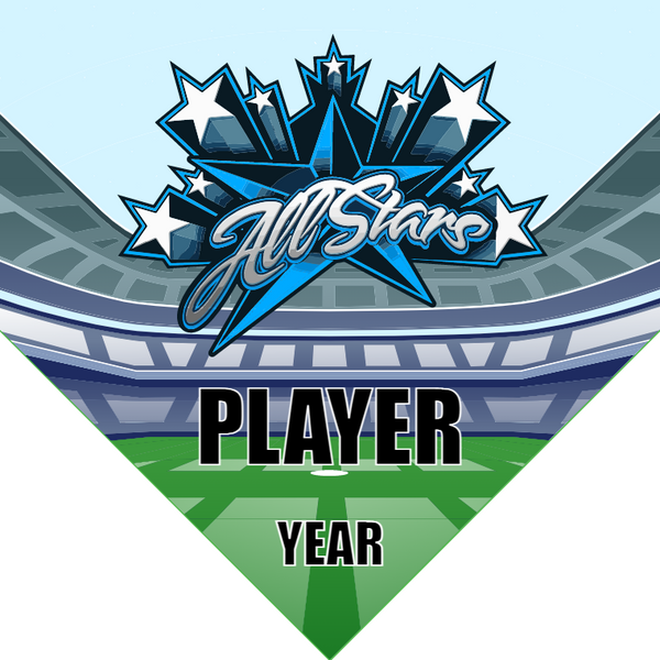 All Stars - Homeplate Soccer Pennant