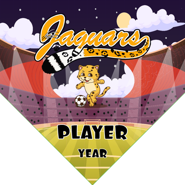 Jaguars - Homeplate Soccer Pennant