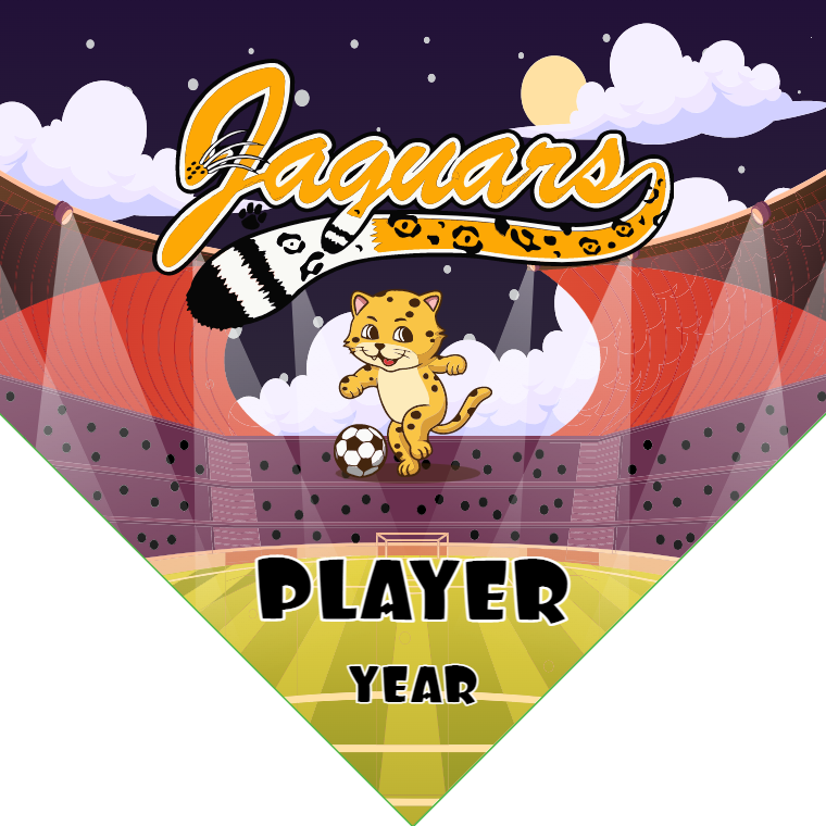 Jaguars - Homeplate Soccer Pennant