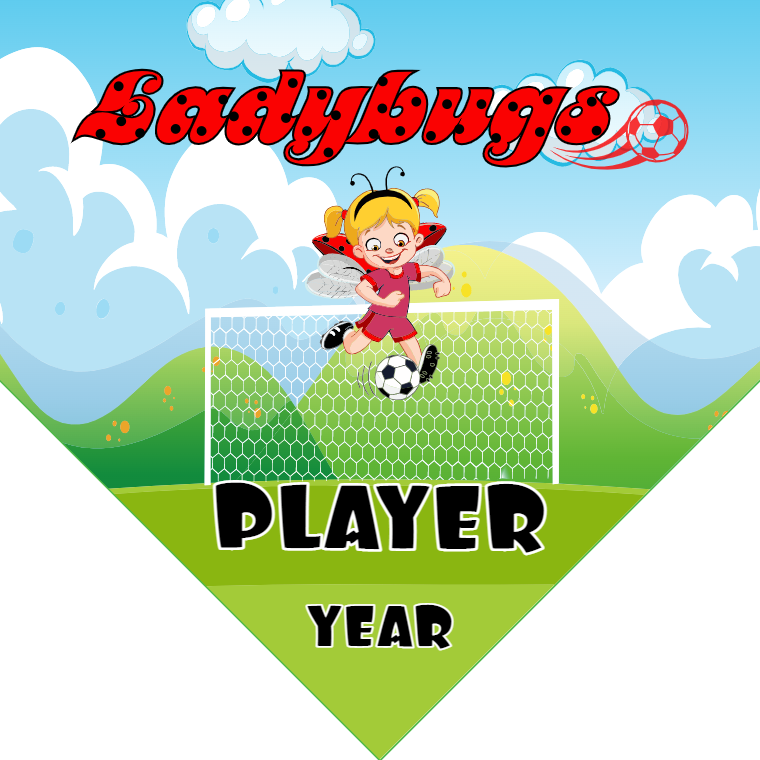 Ladybugs - Homeplate Soccer Pennant