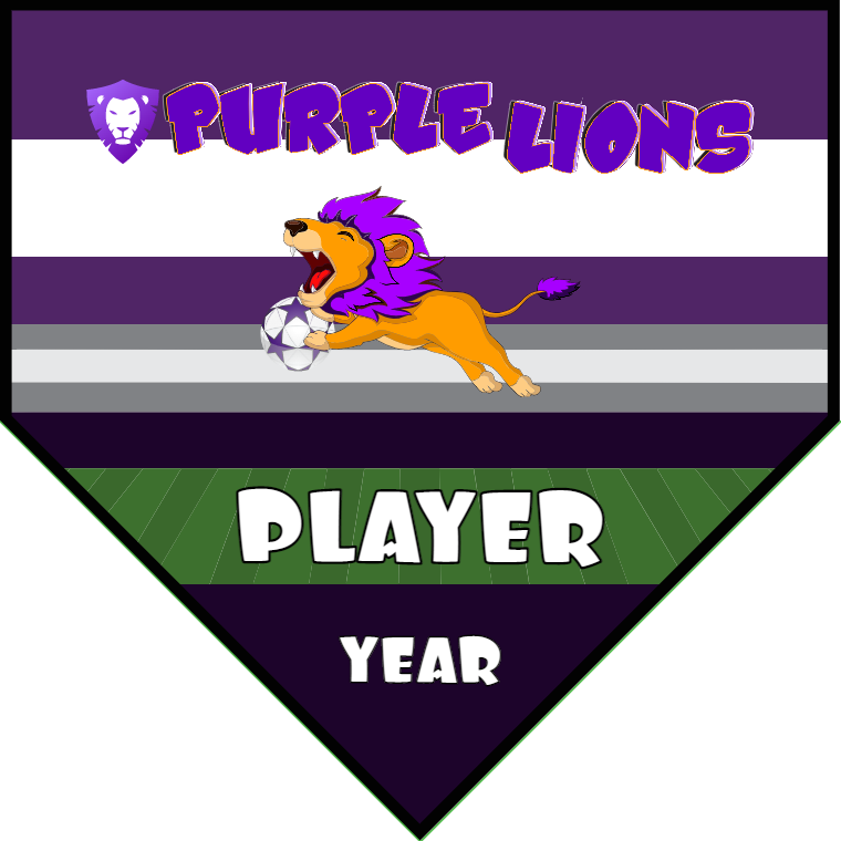 Purple Lions - Homeplate Soccer Pennant