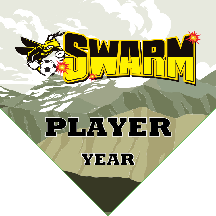 Swarm - Homeplate Soccer Pennant