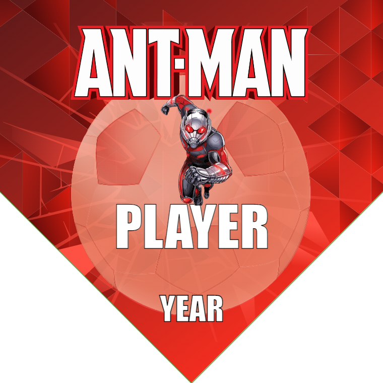 Ant-Man - Homeplate Soccer Pennant