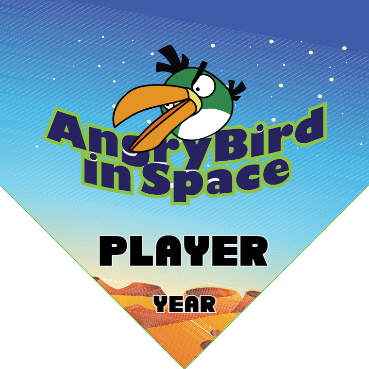 AngryBird in Space - Homeplate Soccer Pennant