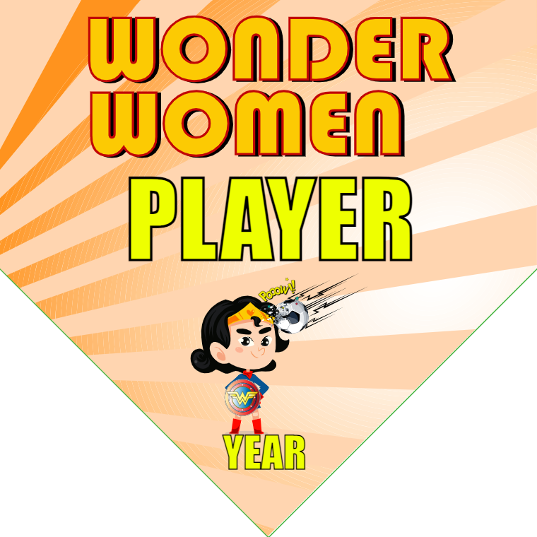 Wonder Women - Homeplate Soccer Pennant