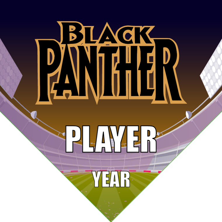 Black Panther - Homeplate Soccer Pennant