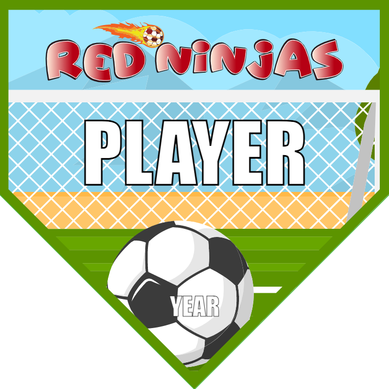 Red Ninjas - Homeplate Soccer Pennant