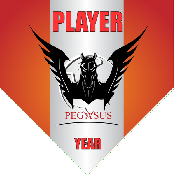 Pegasus - Homeplate Soccer Pennant