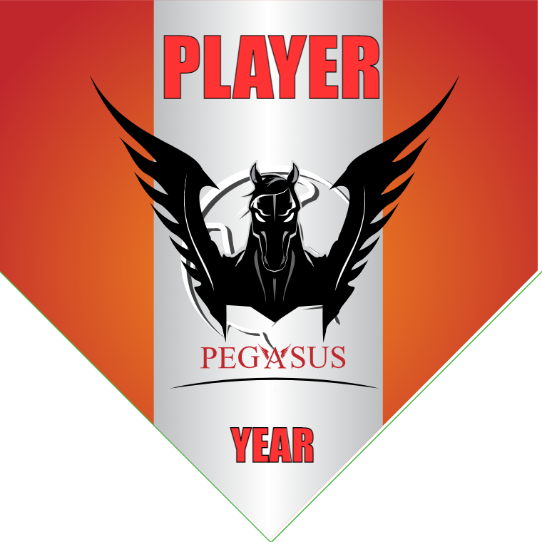 Pegasus - Homeplate Soccer Pennant