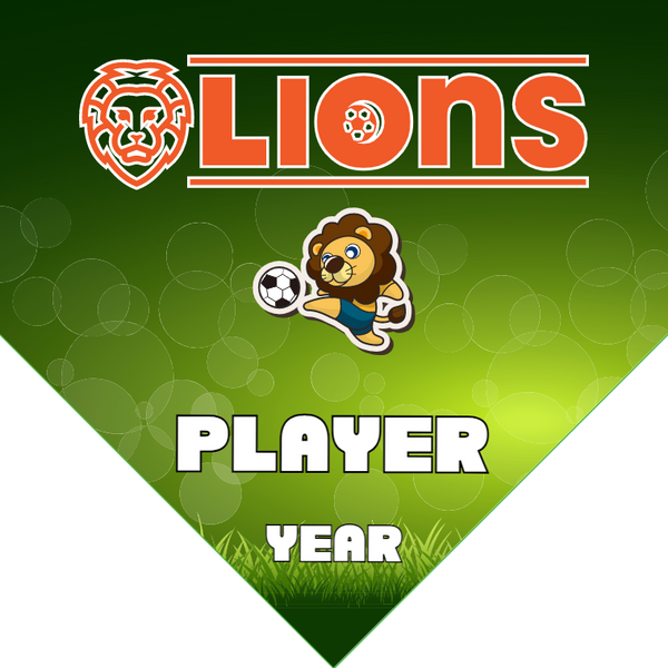 Lions - Homeplate Soccer Pennant