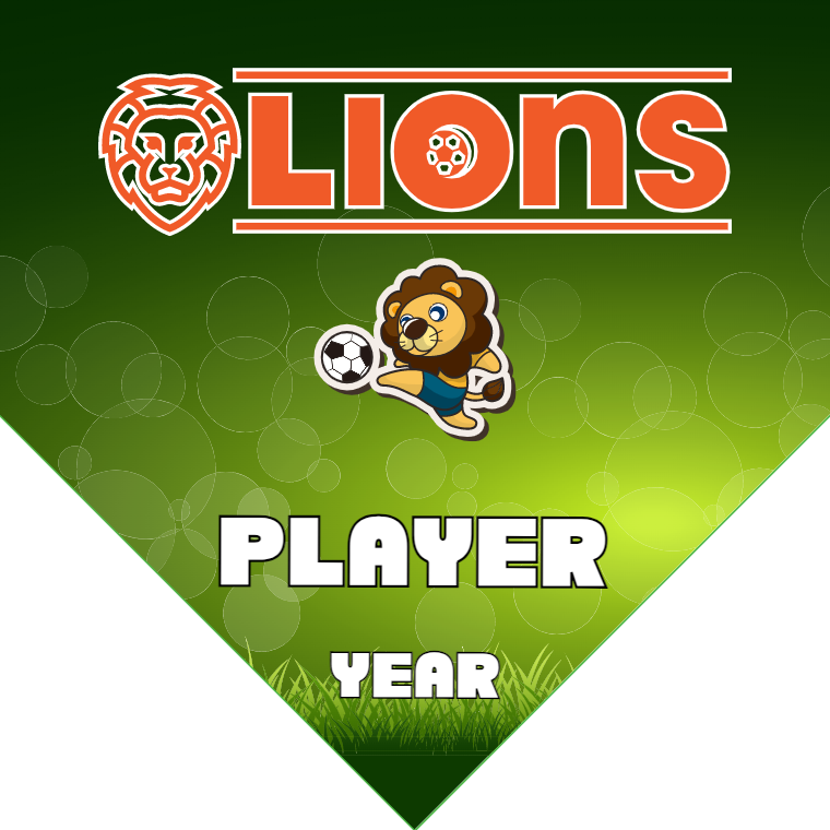 Lions - Homeplate Soccer Pennant