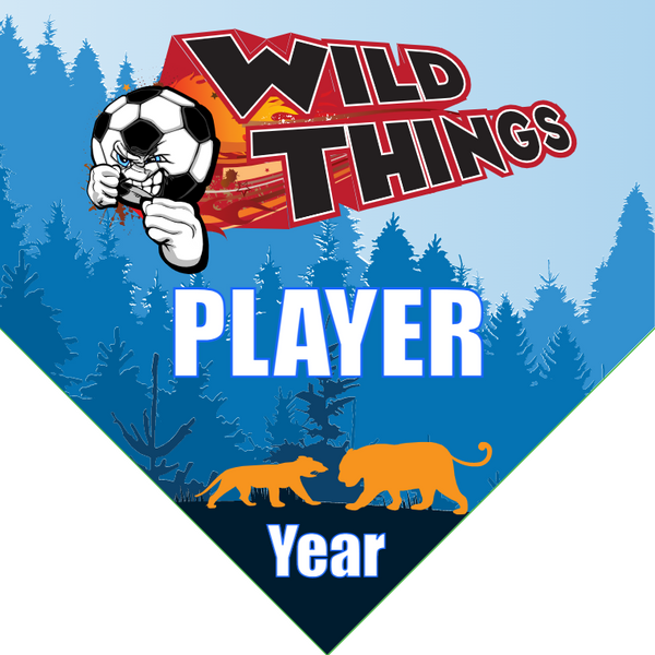 Wild Things - Homeplate Soccer Pennant