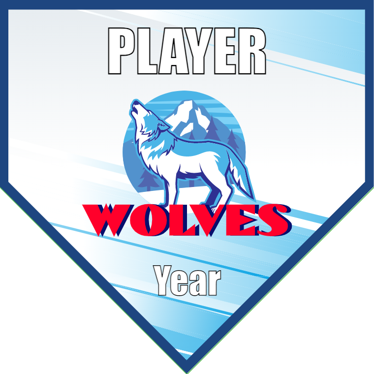 Wolves 2 - Homeplate Soccer Pennant
