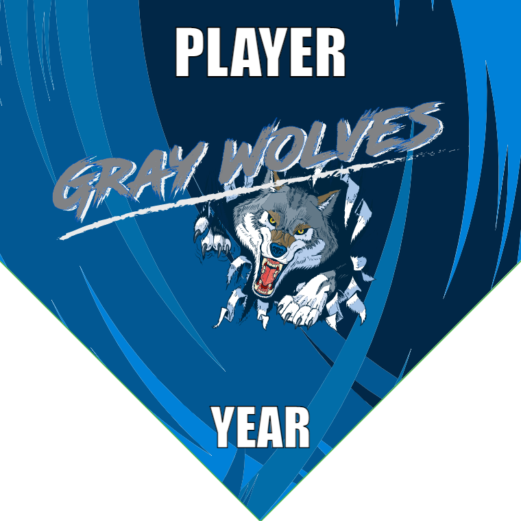 Gray Wolves - Homeplate Soccer Pennant