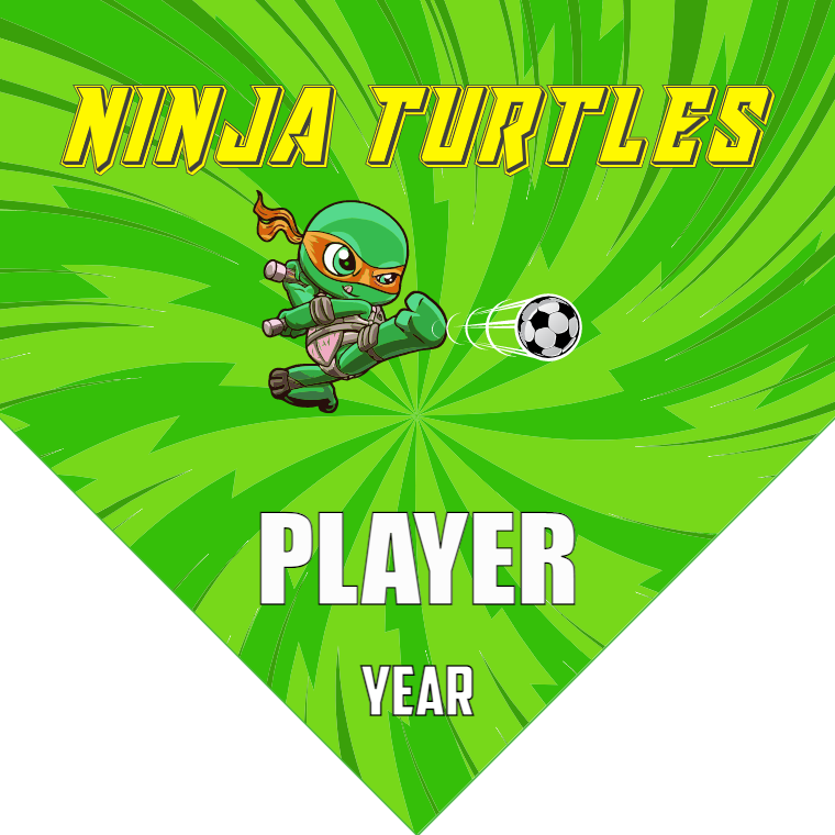 Ninja Turtles - Homeplate Soccer Pennant
