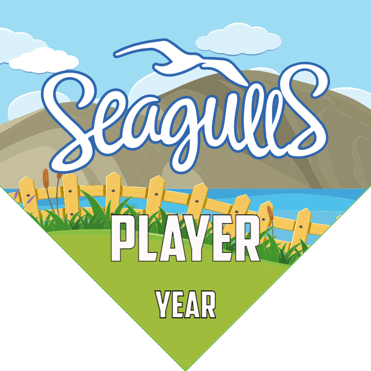 Seaguees - Homeplate Soccer Pennant