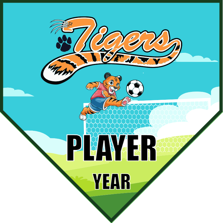 Tigers 3 - Homeplate Soccer Pennant