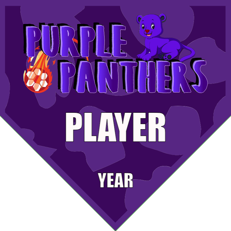 Purple Panthers - Homeplate Soccer Pennant