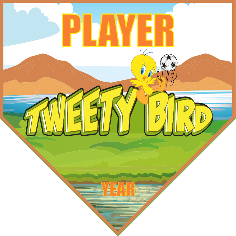 Tweety Bird - Homeplate Soccer Pennant