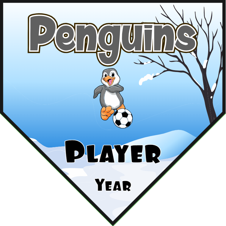 Penguins - Homeplate Soccer Pennant