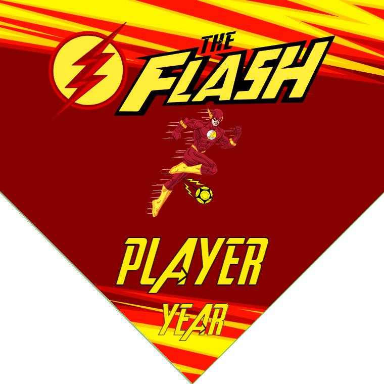 The Flash - Homeplate Soccer Pennant