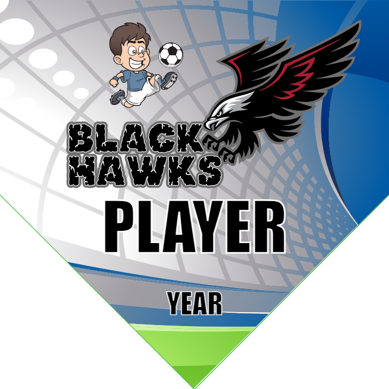 Black Hawks 2 - Homeplate Soccer Pennant