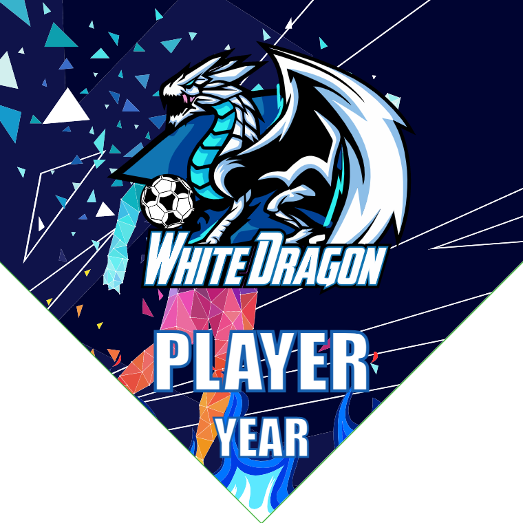 White Dragon  - Homeplate Soccer Pennant