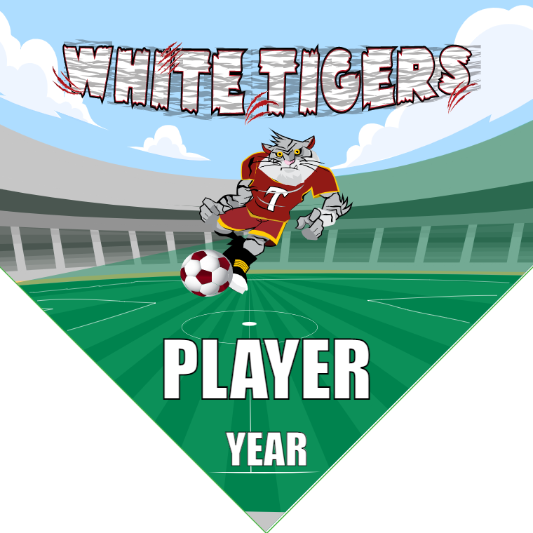 White Tigers  - Homeplate Soccer Pennant