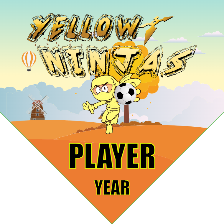 Yellow Ninjas  - Homeplate Soccer Pennant