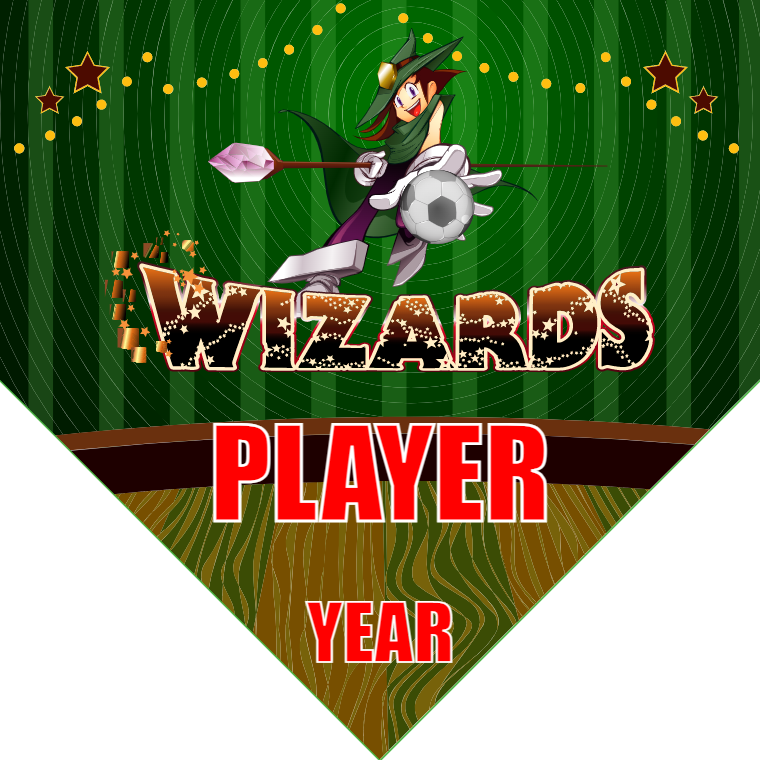 Wizards - Homeplate Soccer Pennant