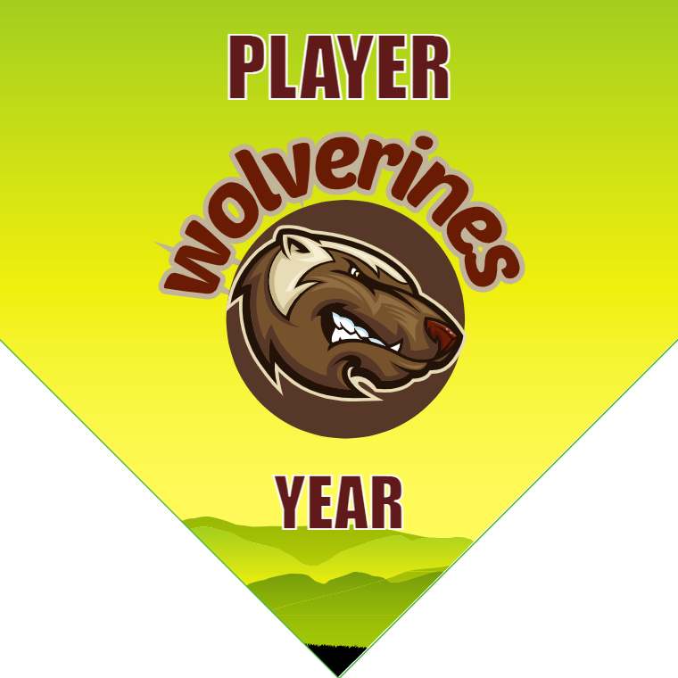 Wolverines - Homeplate Soccer Pennant