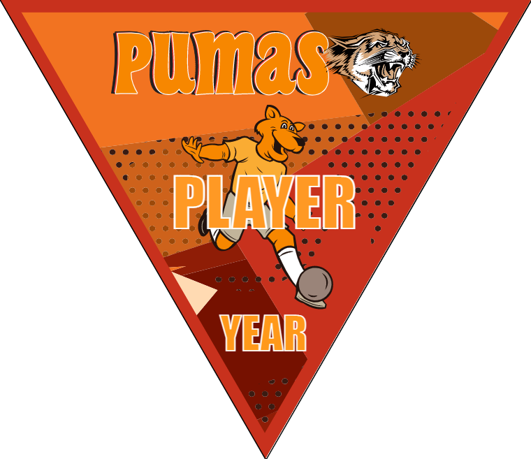 Pumas - Triangle Soccer Banners