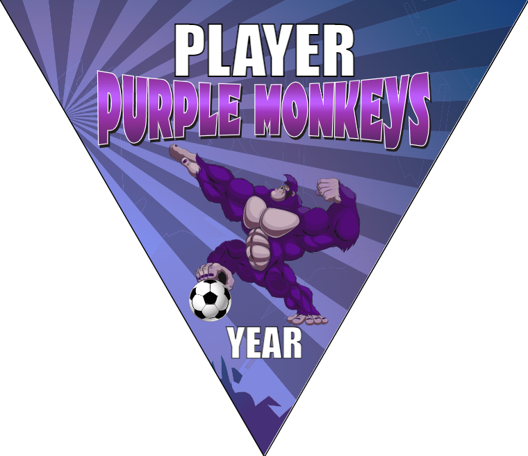 Purple Monkeys - Triangle Soccer Banners