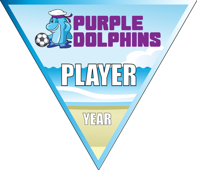 Purple Dolphins - Triangle Soccer Banners