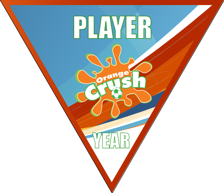 Orange Crush - Triangle Soccer Banners