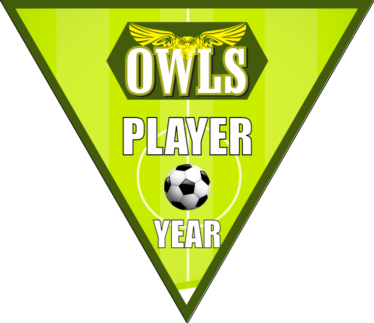 Owls 2 - Triangle Soccer Banners