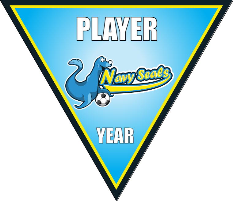 Navy Seals 2 - Triangle Soccer Banners