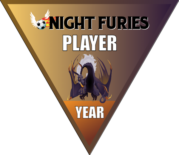 Night Furies - Triangle Soccer Banners