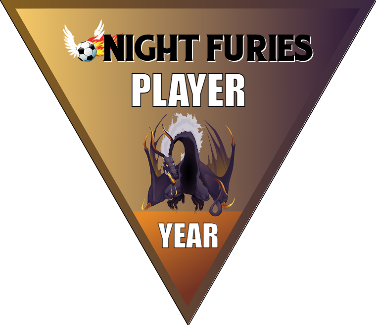 Night Furies - Triangle Soccer Banners