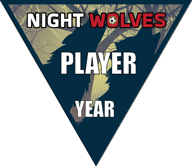 Night Wolves 3 - Triangle Soccer Banners – Team Sport Banners
