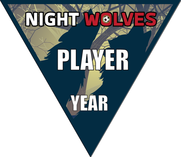 Night Wolves 3 - Triangle Soccer Banners