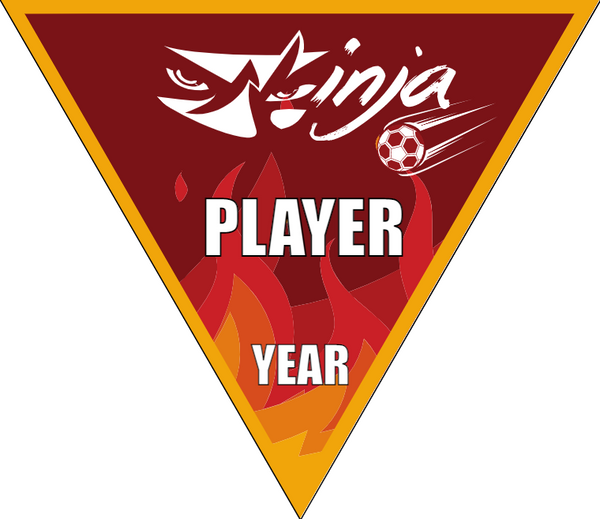 Ninja - Triangle Soccer Banners
