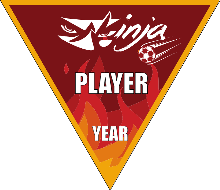 Ninja - Triangle Soccer Banners