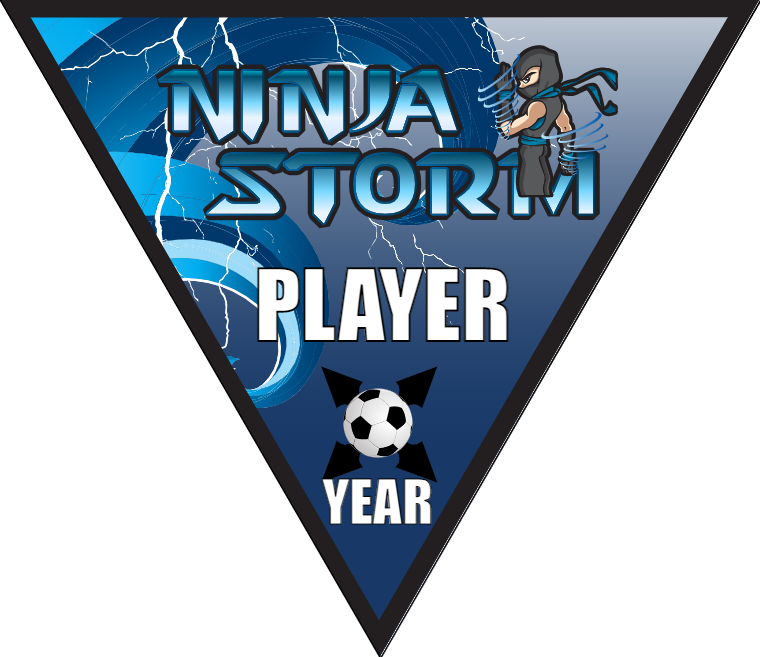 Ninja Storm - Triangle Soccer Banners